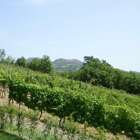 Agriturismo Ca' Del Sartu Bobbio Zewnętrze zdjęcie