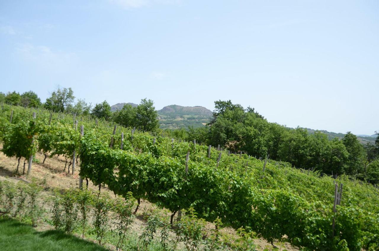 Agriturismo Ca' Del Sartu Bobbio Zewnętrze zdjęcie